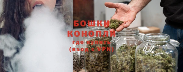 2c-b Бородино