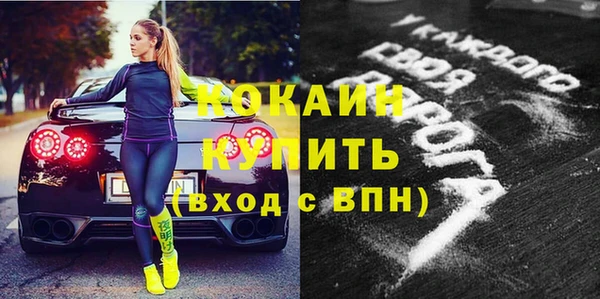 2c-b Бородино