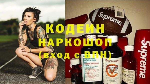2c-b Бородино
