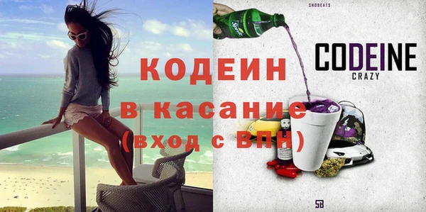 2c-b Бородино