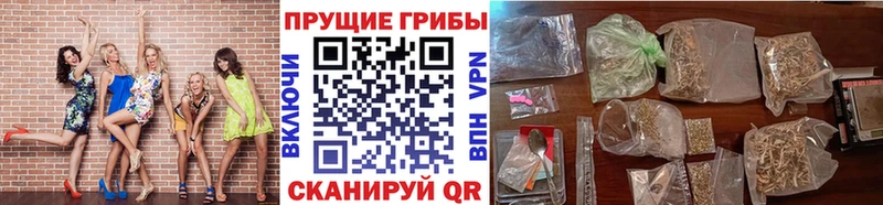 Псилоцибиновые грибы мицелий Копейск