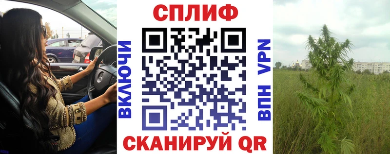 Бошки марихуана Bruce Banner  блэк спрут вход  Копейск 